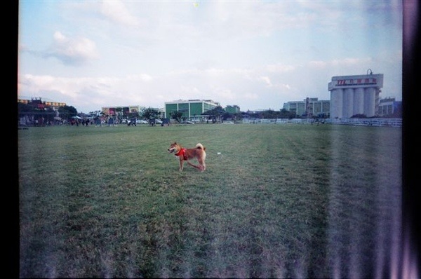 35230041.jpg 35230041.jpg