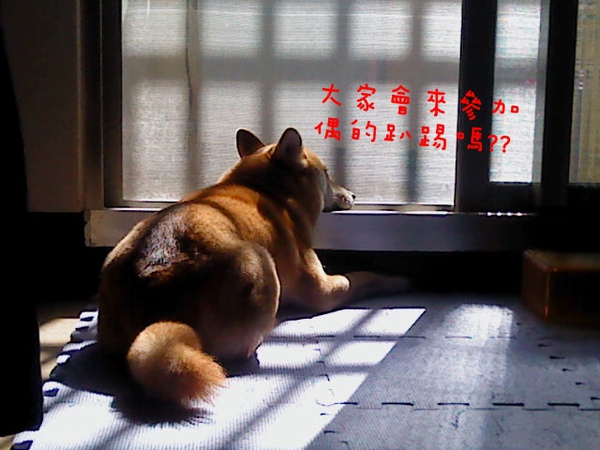 大卡稱.JPG 大卡稱.JPG