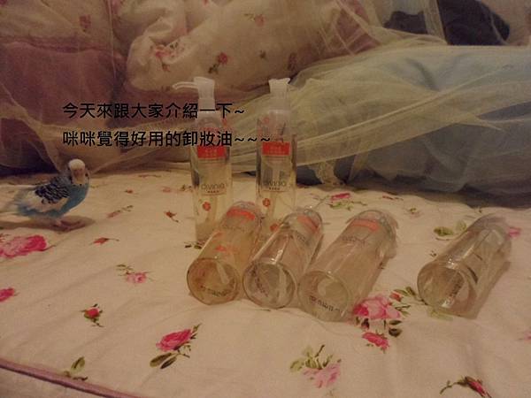 SAM_3800 SAM_3800