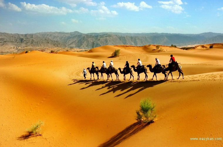 14300000942501128338979975033