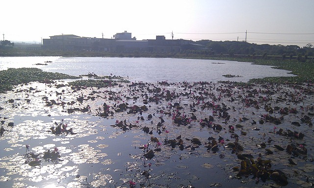 nEO_IMG_IMAG0275 nEO_IMG_IMAG0275