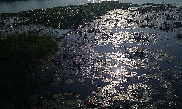 nEO_IMG_IMAG0277 nEO_IMG_IMAG0277