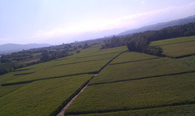 nEO_IMG_IMAG0339 nEO_IMG_IMAG0339