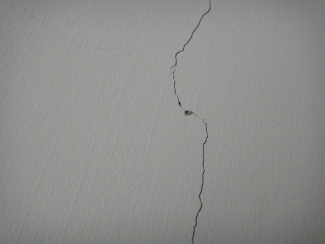 nEO_IMG_DSC06688 nEO_IMG_DSC06688