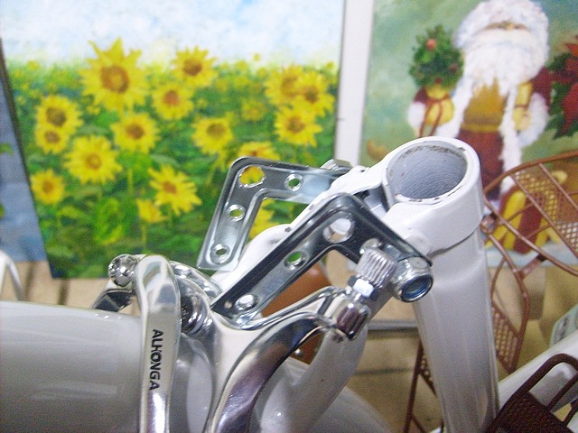 nEO_IMG_S6300925 nEO_IMG_S6300925