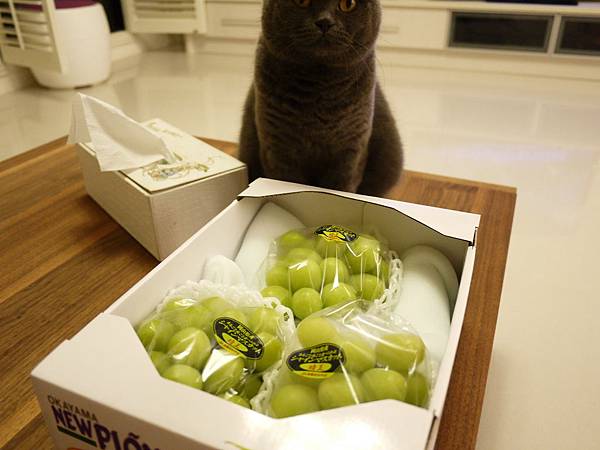 _1100229_調整大小.JPG _1100229_調整大小.JPG