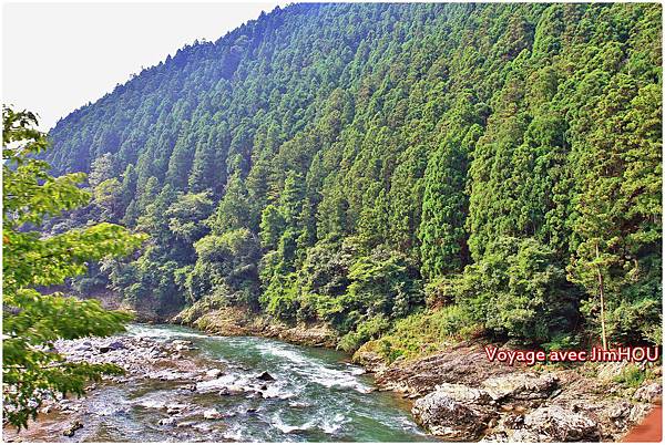 IMG_0745.JPG IMG_0745.JPG