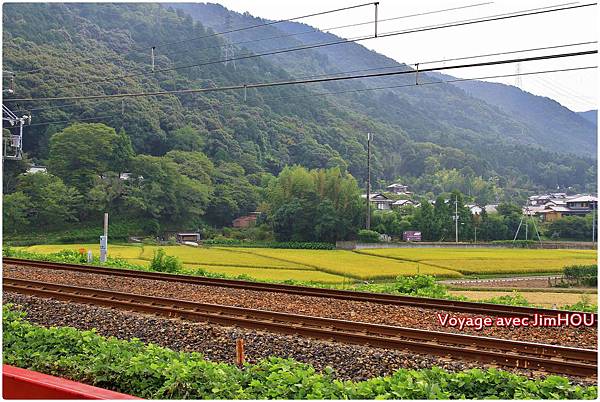 IMG_0831.JPG IMG_0831.JPG