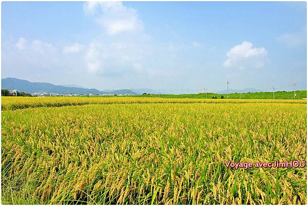 IMG_0877.JPG IMG_0877.JPG