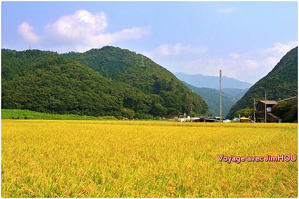 IMG_0891.JPG IMG_0891.JPG