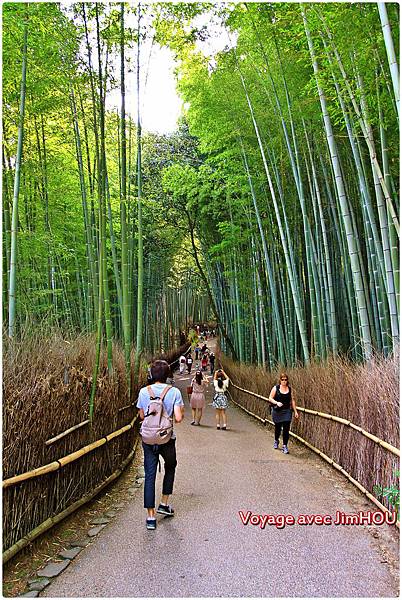 IMG_1084.JPG IMG_1084.JPG