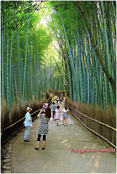 IMG_1086.JPG IMG_1086.JPG