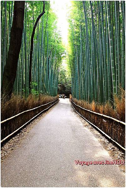 IMG_1088.JPG IMG_1088.JPG