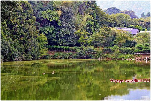 IMG_1126.JPG IMG_1126.JPG