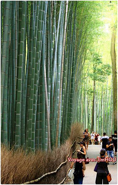 IMG_1145.JPG IMG_1145.JPG