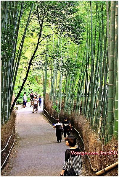 IMG_1154.JPG IMG_1154.JPG