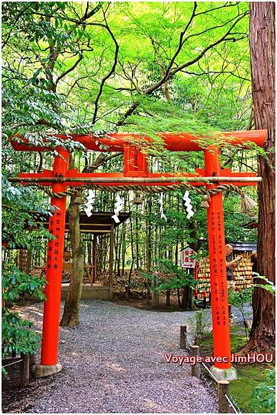 IMG_1176.JPG IMG_1176.JPG