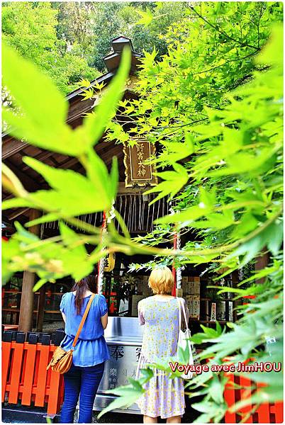 IMG_1195.JPG IMG_1195.JPG