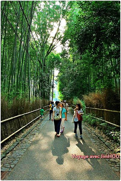 IMG_1205.JPG IMG_1205.JPG