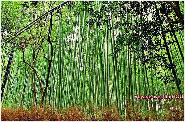 IMG_1208.JPG IMG_1208.JPG