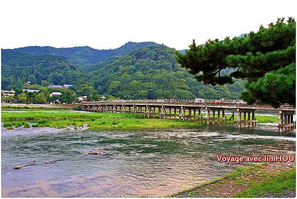 IMG_1231.JPG IMG_1231.JPG