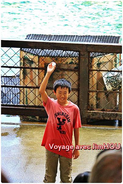 IMG_0221.JPG IMG_0221.JPG