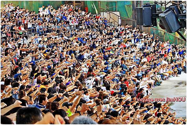 IMG_0226.JPG IMG_0226.JPG