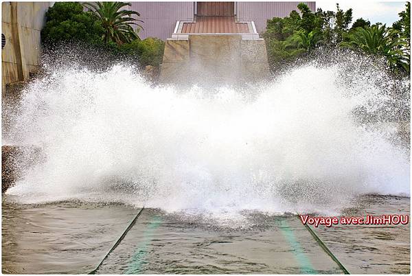 IMG_0349.JPG IMG_0349.JPG