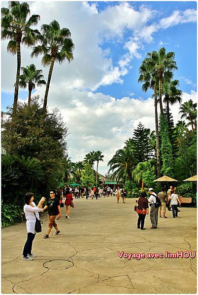 IMG_0361.JPG IMG_0361.JPG