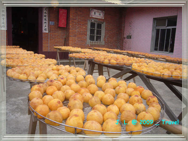 新埔柿子1 新埔柿子1