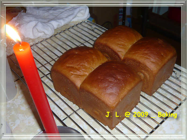 暗夜麥香 暗夜麥香