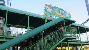 森のかくれんぼ