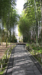 修善寺竹林小徑