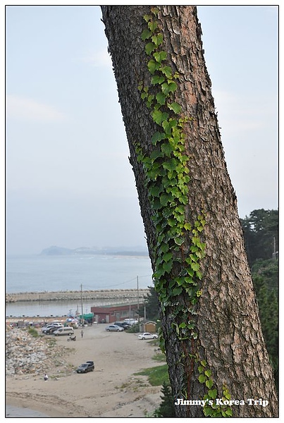 DSC_3772.jpg DSC_3772.jpg