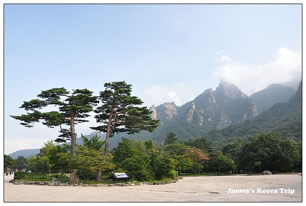 DSC_3681.jpg DSC_3681.jpg