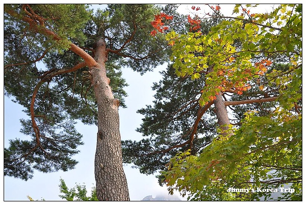 DSC_3687.jpg DSC_3687.jpg