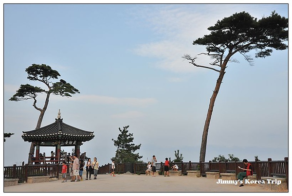 DSC_3753.jpg DSC_3753.jpg