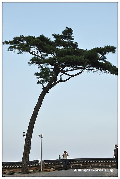 DSC_3733.jpg DSC_3733.jpg