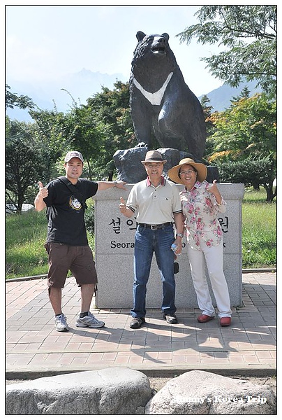 DSC_3532.jpg DSC_3532.jpg