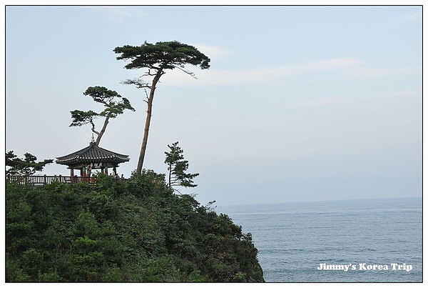 DSC_3736.jpg DSC_3736.jpg