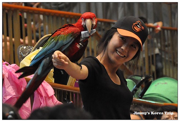 DSC_4229.jpg DSC_4229.jpg