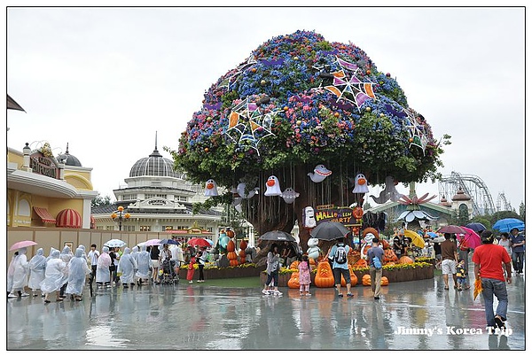 DSC_4142.jpg DSC_4142.jpg