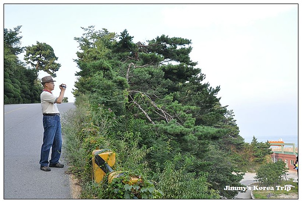 DSC_3779.jpg DSC_3779.jpg