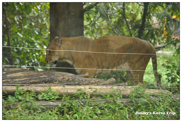 DSC_4287.jpg DSC_4287.jpg