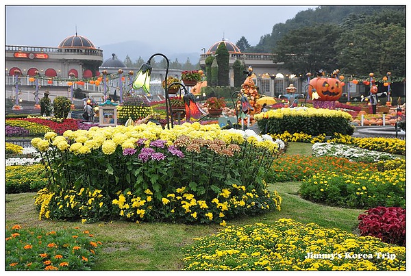 DSC_4384.jpg DSC_4384.jpg