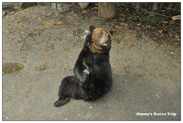 DSC_4317.jpg DSC_4317.jpg