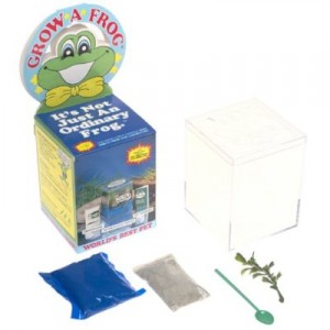 grow-a-frog-300x300 grow-a-frog-300x300