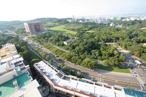 雄基建設「原風景」77俯瞰樹海(左).JPG