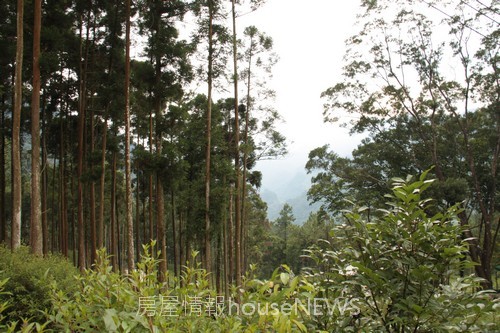 雲起山莊10基地現場.JPG