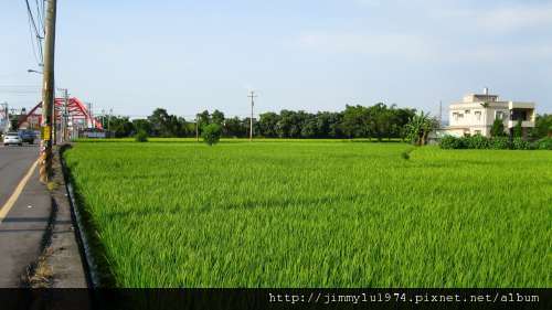 [竹北] 竹北西區(麻園、溝貝、白地)踏查 2011-06-20 006.jpg